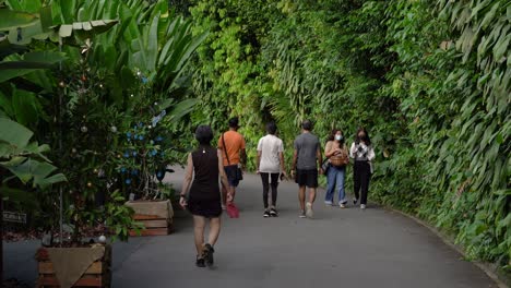 Gente-Caminando-En-El-Jardín-Botánico,-Singapur