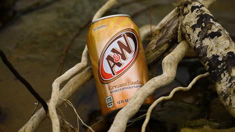 This-is-a-static-video-of-AW-Cream-soda-can-in-roots-by-the-lake