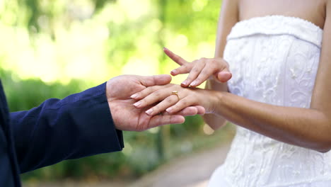 Wedding,-ring-and-hands-of-couple-in-park