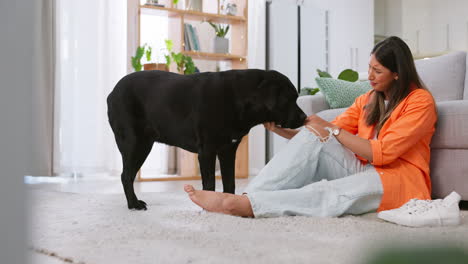 Woman,-smile-and-dog-in-a-home-with-pet-owner
