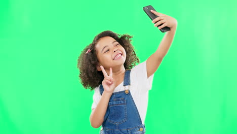 Telefon,-Selfie-Greenscreen
