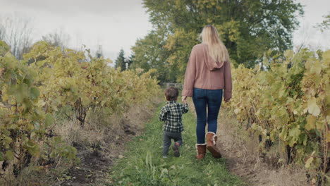 A-woman-leads-her-son-by-the-hand,-walking-through-the-vineyard.-Baby-eats-an-apple.-Back-view