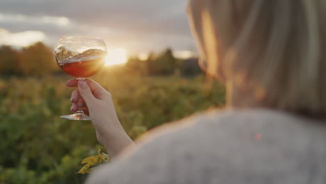 A-woman-holds-a-glass-of-red-wine-in-the-rays-of-the-setting-sun.-Stands-near-the-vineyard.-Rear-view