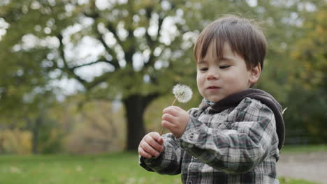 Happy-little-kid-is-trying-to-eat-a-dandelion.-Walk-in-the-autumn-park