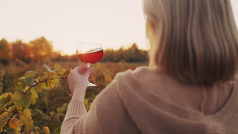A-woman-with-a-glass-of-red-wine-in-her-hand-stands-in-front-of-a-vineyard.-Wine-tasting-At-sunset