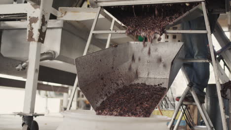 Raw-materials-for-the-manufacture-of-wine-are-fed-through-the-chute-into-a-large-barrel.-Work-at-a-small-family-winery
