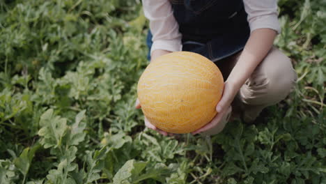 Farmer-woman-holding-beautiful-ripe-melon-in-her-hands