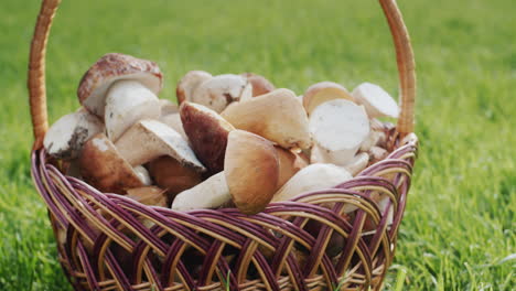 Basket-with-wild-mushrooms-on-green-grass.-Slider-shot