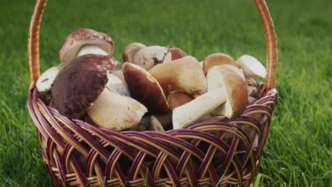 Basket-with-appetizing-mushrooms-stands-on-green-grass