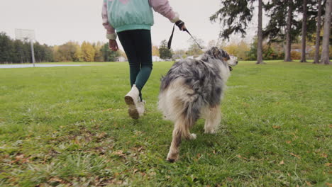 A-child-walks-with-a-sheepdog-on-a-leash-in-the-autumn-park