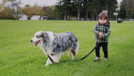 Kleines-Asiatisches-Kind,-Das-Mit-Einem-Großen-Schäferhund-Im-Park-Spaziert