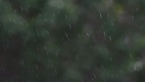Für-Den-Tag-Wurden-Starke-Regenfälle-Vorhergesagt