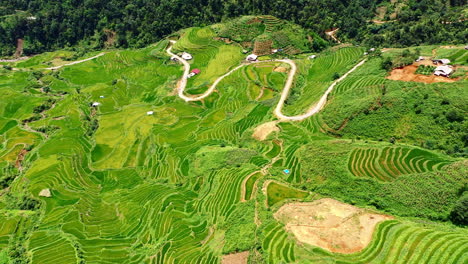 4k-drone-footage-of-the-beautiful-rice-fields