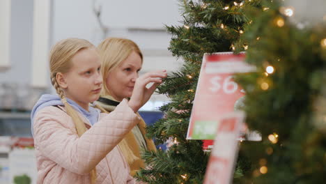 Mom-and-daughter-choose-a-Christmas-tree-in-the-supermarket.-Holiday-shopping