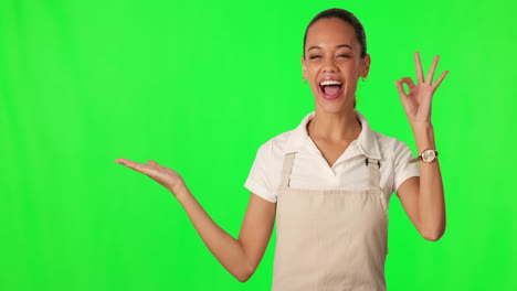 Perfect,-green-screen-and-barista-review-product