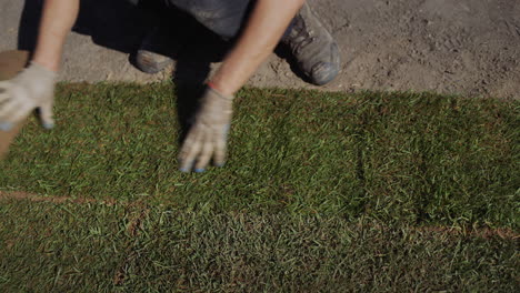 A-group-of-workers-lay-a-rolled-lawn.-Landscaping-of-the-house.
