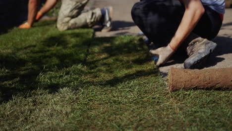 A-group-of-workers-lay-a-rolled-lawn.-Landscaping-of-the-house.