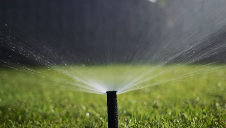 Slider-shot:-Automatic-watering-system-watering-the-garden.-Bottom-view-of-the-high-pressure-nozzle