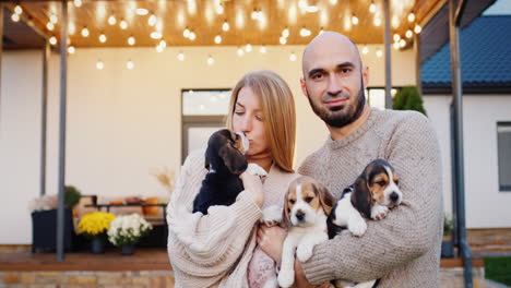 Happy-caucasian-couple-stands-against-the-background-of-their-house,-holding-many-beagle-puppies-in-their-hands