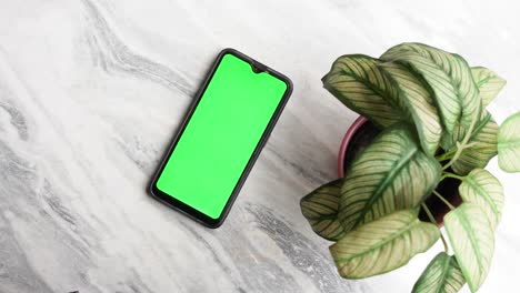 Smartphone-Mit-Grünem-Bildschirm-Und-Einer-Pflanze-Auf-Fliesenhintergrund,