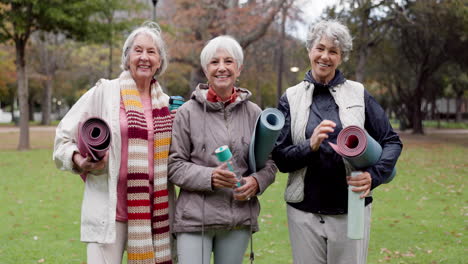 Alte-Frauen,-Freunde-Und-Yoga-Im-Park