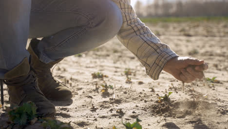 Unrecognizable-man-picking-up-sand-from-the-ground-in-the-countryside