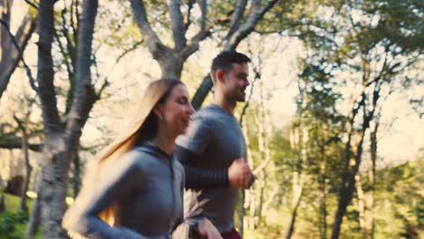 Forest,-exercise-and-couple-running