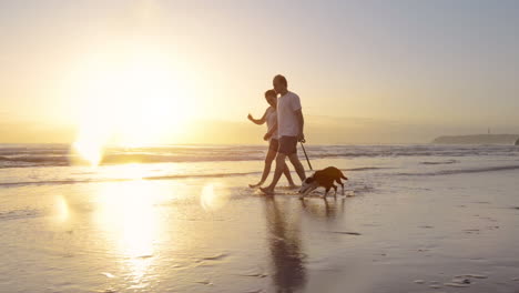 Glückliches-Paar,-Das-Mit-Dem-Hund-Am-Strand-Spazieren-Geht,-Lifestyle-Steadicam-Aufnahme
