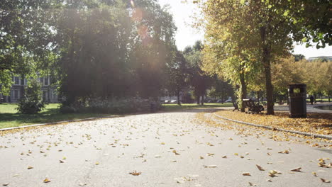 Zeitlupe-Vorwärts-Kamerafahrt-Schöne-Bäume-Herbstsonne