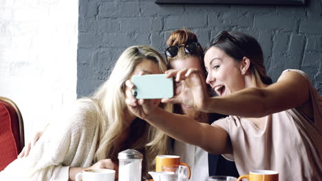 Friends-taking-selfie-photograph-self-portrait-in-cafe