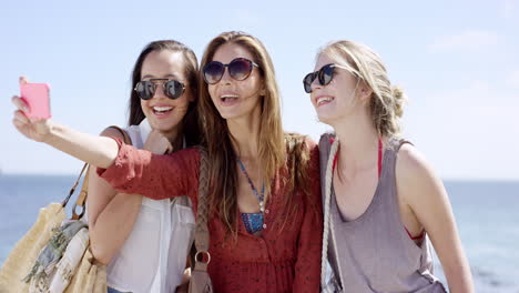 Adolescentes-Tomando-Selfie-Haciendo-Pucheros-En-La-Playa-Durante-Las-Vacaciones-De-Verano