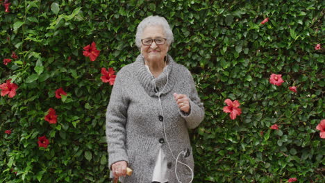 portrait-of-happy-elderly-woman-dancing-wearing-earphones-listening-to-music-enjoying-playful-fun-in-beautiful-green-garden-flower-wall-outdoors-holding-walking-stick