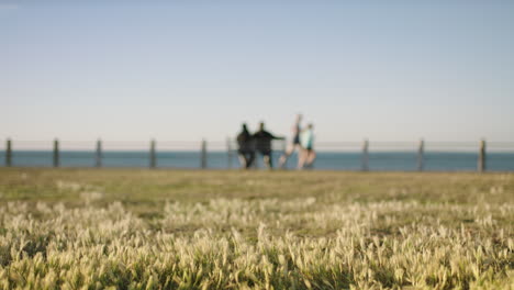 view-of-calm-ocean-seaside-couple-sitting-on-bench-people-jogging-excercise-dog-running-past-camera