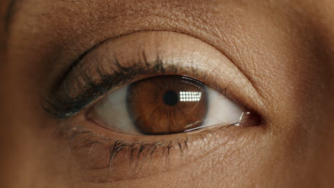 Nahaufnahme-Makro-Braune-Augen-öffnen-Blinkend-Natürliche-Menschliche-Schönheit-Gesundes-Sehvermögen-Konzept