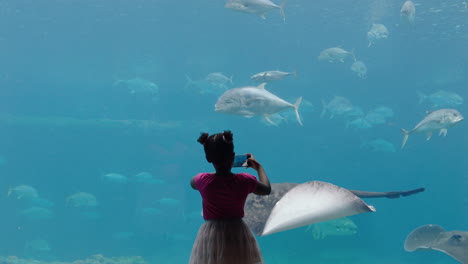 little-girl-taking-photo-of-fish-in-aquarium-using-smartphone-photographing-marine-animals-swimming-in-tank-learning-about-sea-life-in-aquatic-habitat-having-fun-in-oceanarium
