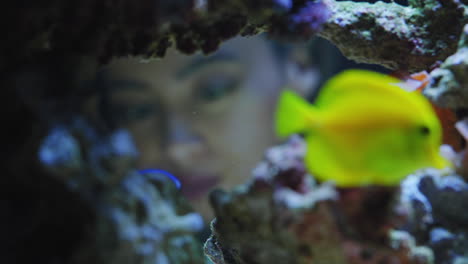 Mujer-Mirando-Peces-De-Colores-En-El-Tanque-Del-Acuario-Observando-La-Colorida-Vida-Marina-Nadando-En-El-Arrecife-De-Corel-Observando-El-Ecosistema-Marino