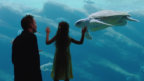 happy-girl-with-father-at-aquarium-looking-at-sea-turtle-swimming-with-fish-in-tank-curious-child-watching-with-excitement-dad-teaching-daughter-about-marine-animals-in-oceanarium