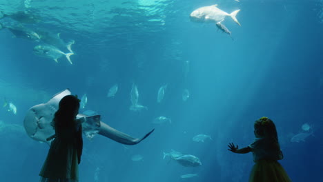 little-girls-in-aquarium-looking-at-stingray-swimming-with-fish-in-tank-happy-children-watching-marine-animals-in-oceanarium-having-fun-learning-about-sea-life-in-aquatic-habitat