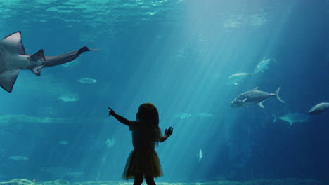 Kleines-Mädchen-Im-Aquarium,-Das-Fische-Beobachtet,-Die-Mit-Meerestieren-Im-Aquarium-Schwimmen.-Neugieriges-Kind,-Das-Das-Leben-Im-Meer-Im-Ozeanarium-Beobachtet