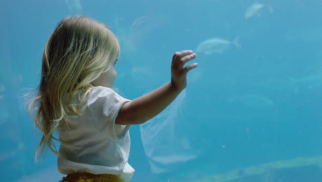 Kleines-Mädchen-Im-Aquarium,-Das-Im-Aquarium-Schwimmende-Fische-Betrachtet.-Glückliches-Kind,-Das-Wunderschöne-Meerestiere-Im-Ozeanarium-Beobachtet-Und-Spaß-Daran-Hat,-Etwas-über-Das-Leben-Im-Meer-Im-Wasserlebensraum-Zu-Lernen