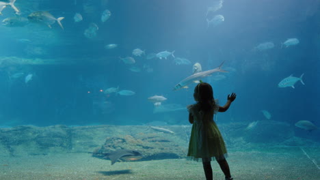 Kleines-Mädchen-Im-Aquarium,-Das-Im-Aquarium-Schwimmende-Fische-Betrachtet.-Glückliches-Kind,-Das-Wunderschöne-Meerestiere-Im-Ozeanarium-Beobachtet-Und-Spaß-Daran-Hat,-Etwas-über-Das-Leben-Im-Meer-Im-Wasserlebensraum-Zu-Lernen