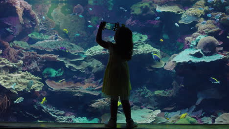 Kleines-Mädchen-Benutzt-Smartphone-Im-Aquarium-Und-Fotografiert-Bunte-Fische,-Die-Mit-Meerestieren-Im-Aquarium-Schwimmen.-Neugieriges-Kind,-Das-Spaß-Daran-Hat,-Das-Meeresleben-Im-Ozeanarium-Rifflebensraum-Zu-Beobachten