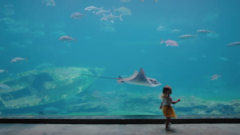 little-girl-in-aquarium-looking-at-stingray-swimming-in-tank-curious-child-watching-marine-animals-in-oceanarium-having-fun-learning-about-sea-life-in-aquatic-habitat