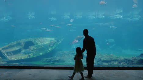 Vater-Mit-Tochter-Im-Aquarium-Und-Blick-Auf-Wunderschöne-Fische,-Die-Im-Aquarium-Schwimmen.-Kleines-Mädchen,-Das-Neugierig-Meerestiere-Beobachtet-Und-Spaß-Daran-Hat,-Mit-Papa-Im-Ozeanarium-Etwas-über-Das-Leben-Im-Meer-Zu-Lernen