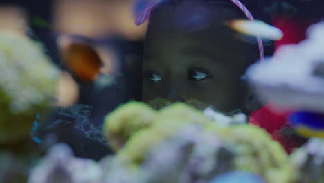 Afroamerikanisches-Mädchen,-Das-Fische-Im-Aquarium-Betrachtet.-Neugieriges-Kind,-Das-Farbenfrohe-Meereslebewesen-Beobachtet,-Die-Im-Aquarium-Schwimmen.-Es-Lernt-Etwas-über-Meerestiere-Im-Unterwasserökosystem.-Neugieriges-Kind-Im-Ozeanarium