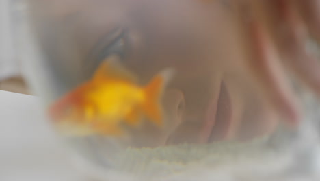 girl-looking-at-goldfish-putting-hand-in-bowl-playing-with-fish-swimming-in-aquarium-child-smiling-happy-enjoying-aquatic-pet-4k