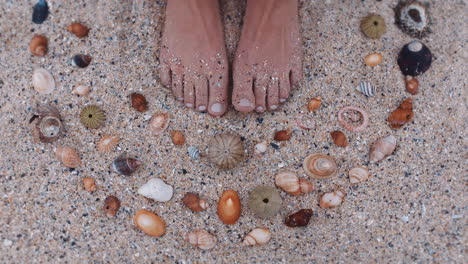 close-up-feet-woman-collecting-seashells-on-beach-enjoying-beautiful-natural-variety-making-pattern-shape-on-sand