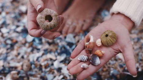Cerrar-Manos-De-Mujer-Recogiendo-Conchas-En-La-Playa-Disfrutando-De-La-Hermosa-Variedad-Natural-Turista-Sosteniendo-Conchas