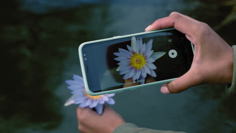 Nahaufnahme-Einer-Frau,-Die-Mit-Einer-Smartphone-Kamera-Blumen-Fotografiert-Und-Natürliche-Schönheit-Fotografiert,-Die-Sie-In-Sozialen-Medien-Teilt