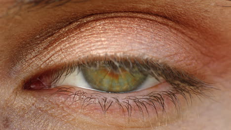 Nahaufnahme-Eines-Makroauges-Mit-Wunderschöner-Iris,-Die-Blinkt-Und-Sich-Umschaut,-Gesundes-Sehkonzept